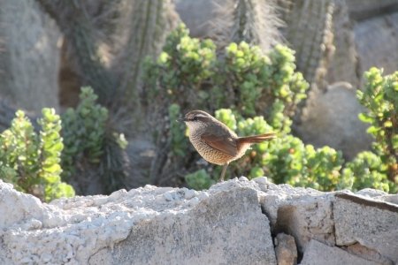 gallery/img_7075 (copier)