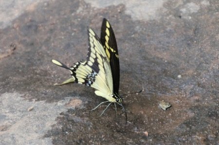 gallery/img_2721 (copier)