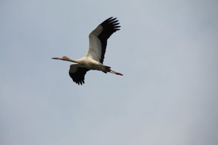 gallery/img_3918 (copier)