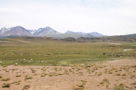 gallery/img_8767 (copier)