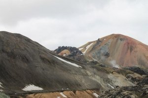 gallery/img_8320_réduit