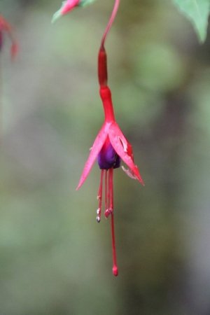 gallery/img_9445 (copier)
