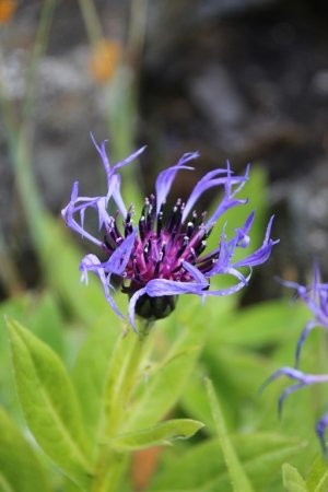 gallery/img_7916 (copier)
