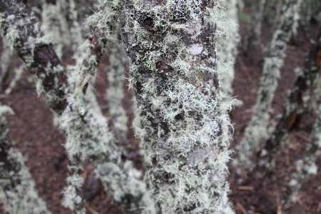 gallery/img_8056 (copier)