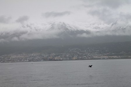 gallery/img_7883 (copier)