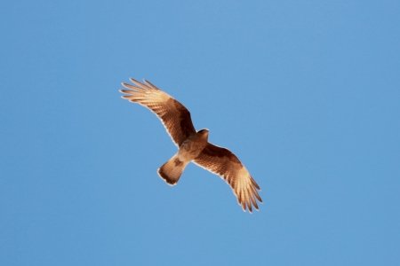 gallery/img_6095 (copier)
