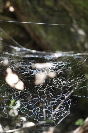 gallery/img_6537 (copier)