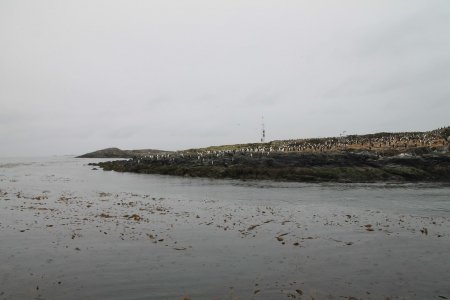 gallery/img_7878 (copier)