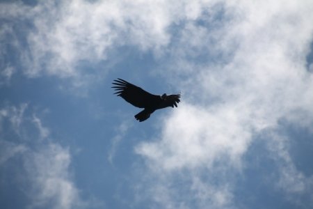 gallery/img_9911 (copier)